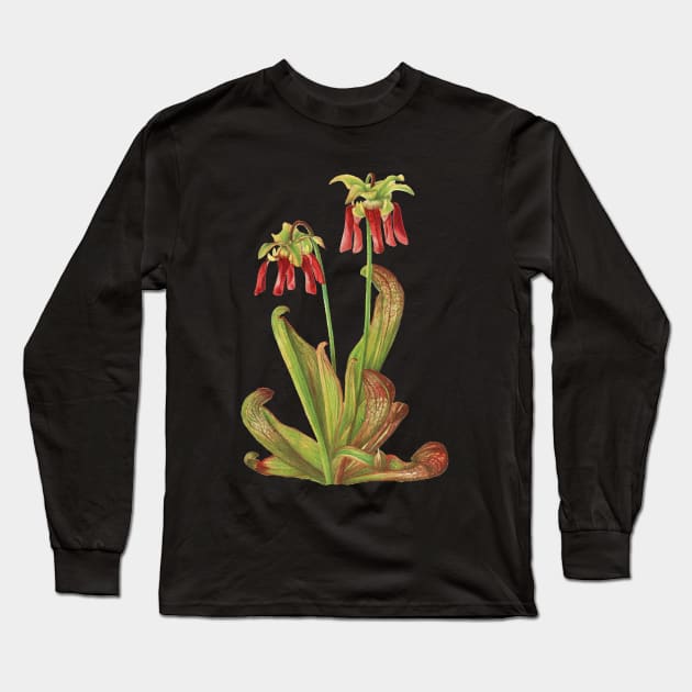 Parrot Pitcherplant - Sarracenia Psittacina - Walcott - Botanical Illustration Long Sleeve T-Shirt by chimakingthings